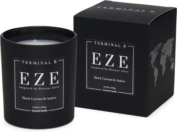 Terminal B - Luxury Scented Candle,  Black Fig & Cedarwood, 10.58 oz - Image 12