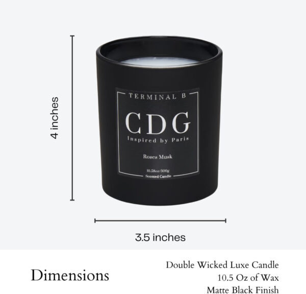 Terminal B - Luxury Scented Candle,  Black Fig & Cedarwood, 10.58 oz - Image 23