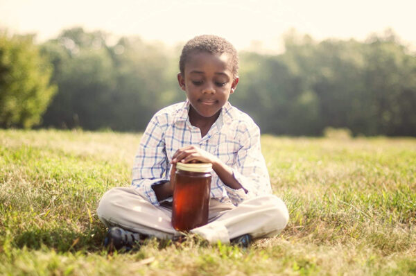 Zach & Zoe Sweet Bee Farm - Pure Farm Raised Ginger Honey (16 oz) - Image 5